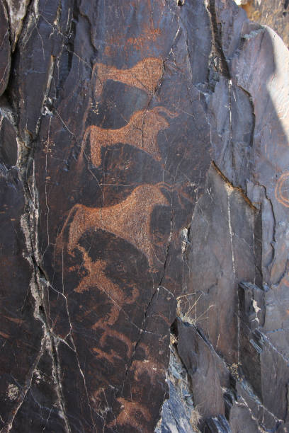 ancient rock drawings (petroglyph), deer, dog, bull, buffalo