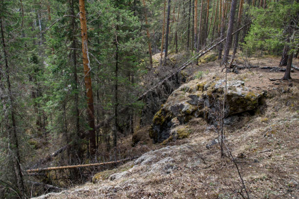 istock Dense forest grows on the slopes of the mountain 689950988