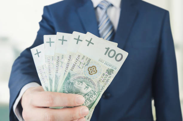 Range of Polish banknotes in businessman hand Range of Polish banknotes in hand. businessman giving money loan polish zloty pln hand concept polish zloty photos stock pictures, royalty-free photos & images