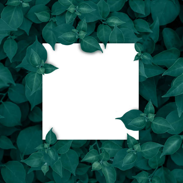 istock Blank for advertising card or invitation 689951514