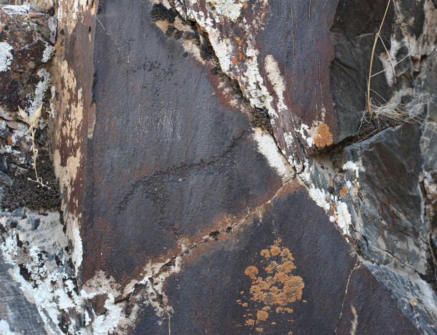 istock ancient rock drawings, small horse 689951574