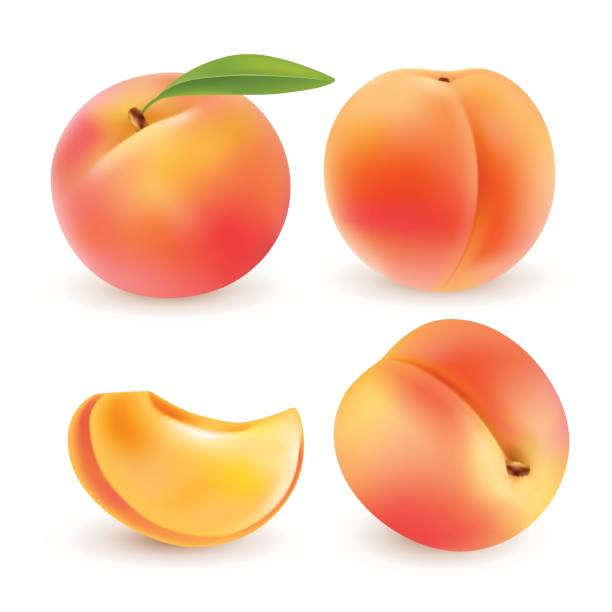 illustrations, cliparts, dessins animés et icônes de peach. fruits sucrés. 3d jeu d’icônes vectorielles. illustration réaliste - pêche