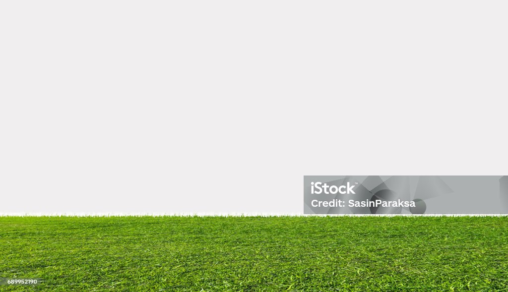 Campo di erba verde, isolato su sfondo bianco - Foto stock royalty-free di Erba