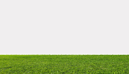 Green grass field, isolated on white background