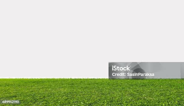 Green Grass Field Isolated On White Background Stock Photo - Download Image Now - Grass, Cut Out, Lawn
