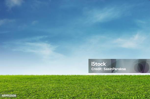 Green Grass Field With Blue Sky And White Clouds Background Stock Photo - Download Image Now