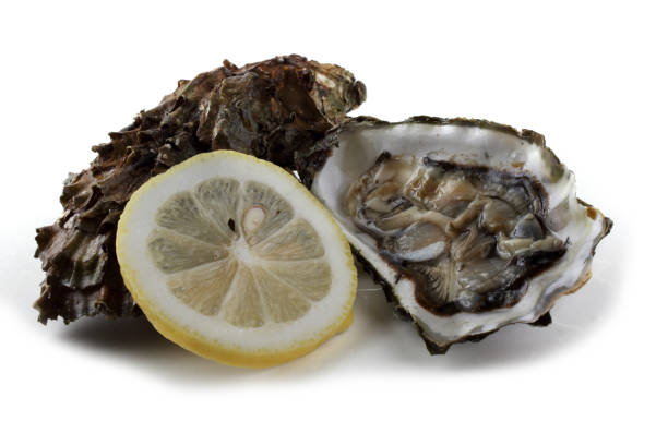 istock Oyster, opened oyster and lemon slice 689963022