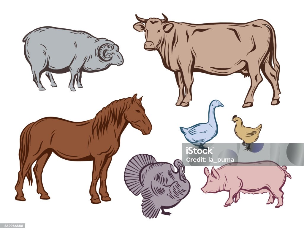 Farm Animals Color Sketches Stock Illustration - Download Image Now -  Agriculture, Animal, Animal Body Part - iStock