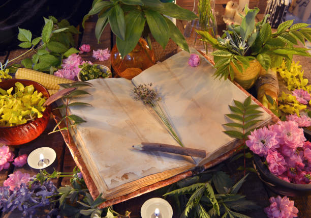 istock Still life with old book, healing herbs, flowers and candles 689967938