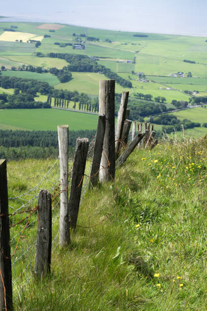 view from binevenagh mountain, along a fence, towards valley and coast - barbed wire rural scene wooden post fence imagens e fotografias de stock