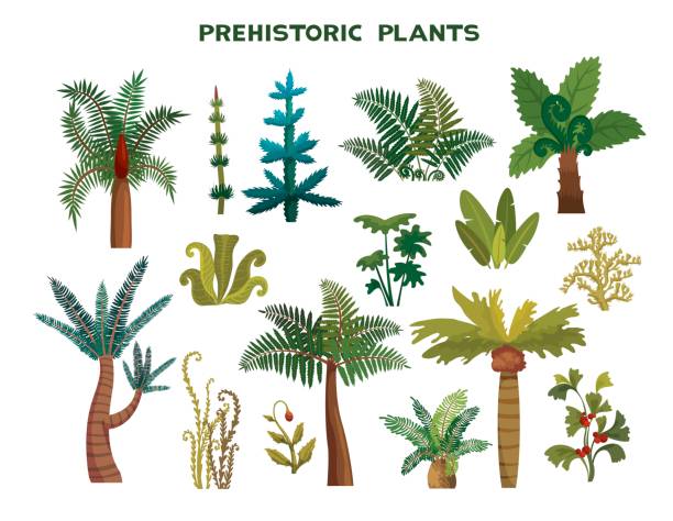 набор доисторических растений - prehistoric era stock illustrations