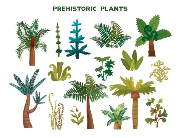 Vector illustration of Set of prehistoric plants