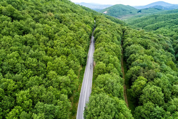 istock Aerial view of a provincial road passing through a forest 689970646