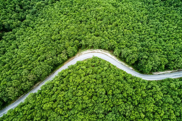 istock Aerial view of a provincial road passing through a forest 689971164