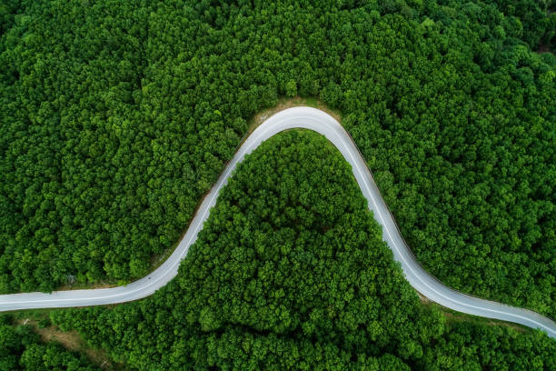 istock Aerial view of a provincial road passing through a forest 689971682