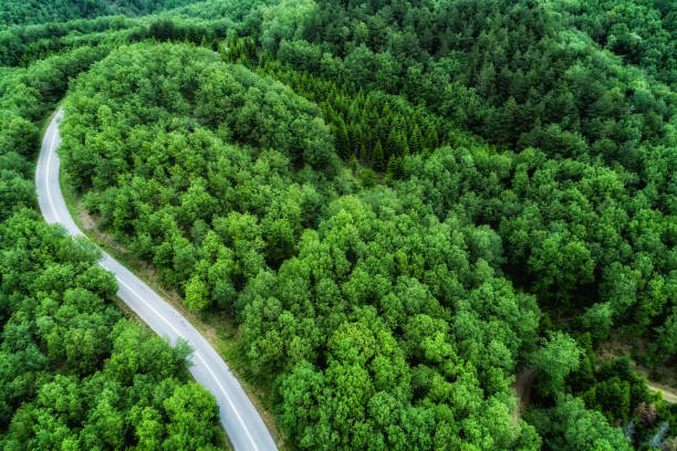 istock Aerial view of a provincial road passing through a forest 689971720