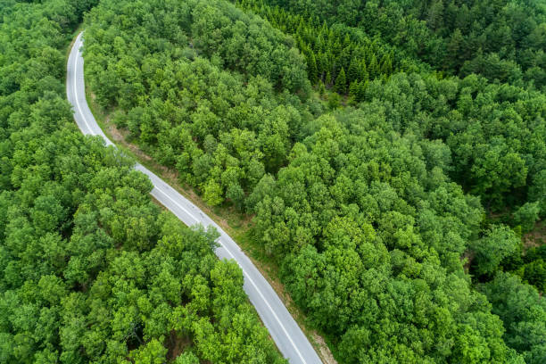 istock Aerial view of a provincial road passing through a forest 689972132