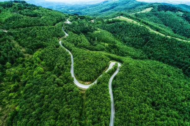 istock Aerial view of a provincial road passing through a forest 689974420