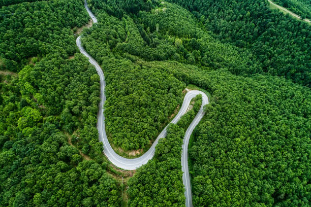 istock Aerial view of a provincial road passing through a forest 689974424