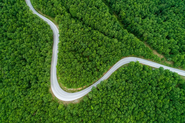 istock Aerial view of a provincial road passing through a forest 689974568