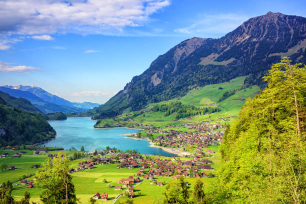 alpejskie jezioro i krajobraz górski w środkowej szwajcarii - interlaken mountain meadow switzerland zdjęcia i obrazy z banku zdjęć