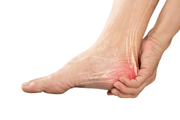 heel muscle pain heel muscle pain tibia photos stock pictures, royalty-free photos & images