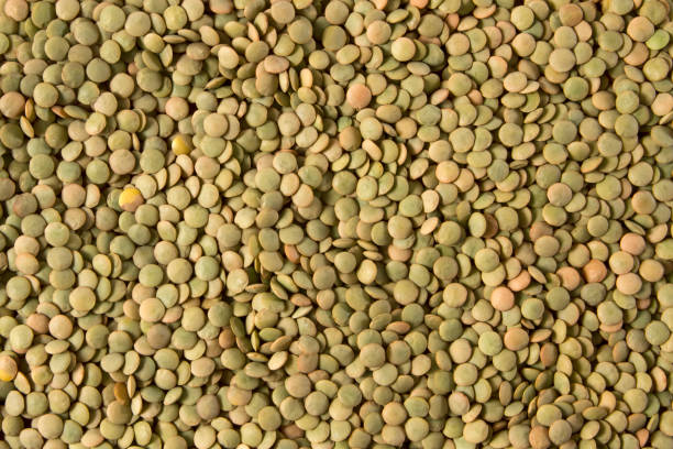 Green Lentils stock photo