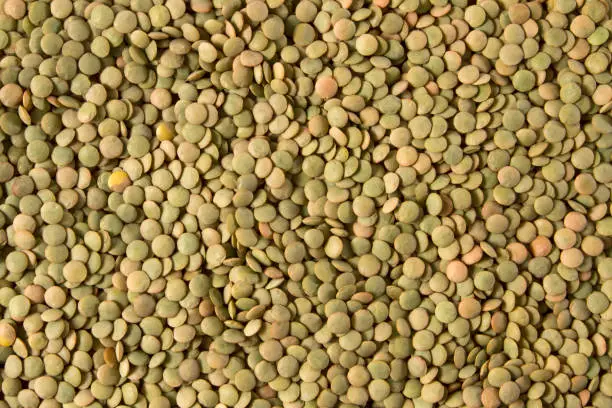Seamless pattern of green organic lentils.
