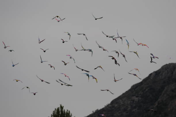 istock Clouds and doves in the Spanish sky 690003598