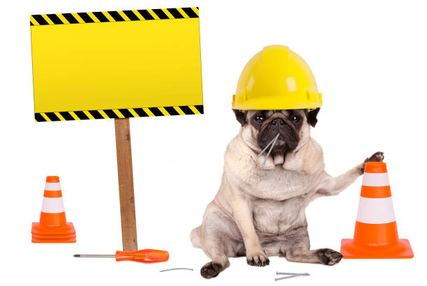 istock pug dog with yellow constructor worker safety helmet and cone, plus warning sign on wooden pole 690005608
