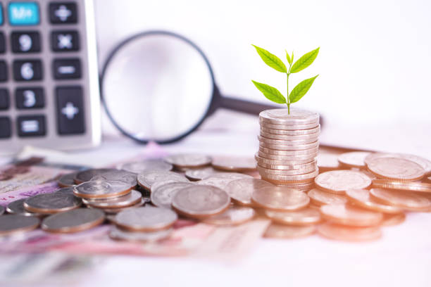 istock tree growing on coins idea for growing business concept 690005610