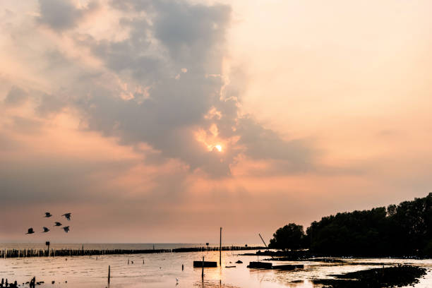 istock beautiful sky and clound sunset,the seaside 690005714