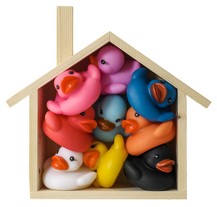 Many multi-colored rubber ducks squashed inside a conceptual wooden house shape frame, representing a house. Concept image relating to relationship, property, sharing, living together, togetherness, multi racial, ethnicity, living in harmony, accommodation, crowded conditions etc. Isolated on white, clipping path included.