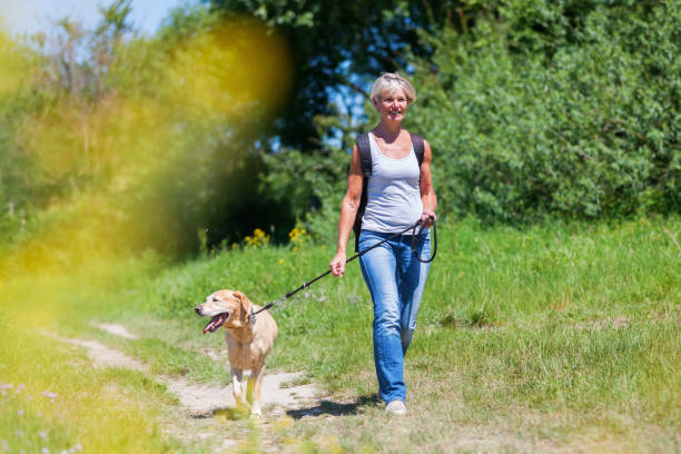 istock mature woman with a Labrador Retriever 690009282