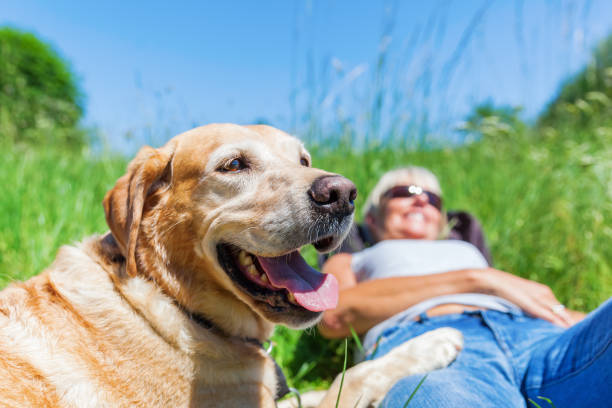 istock mature woman makes a hiking rest 690009294