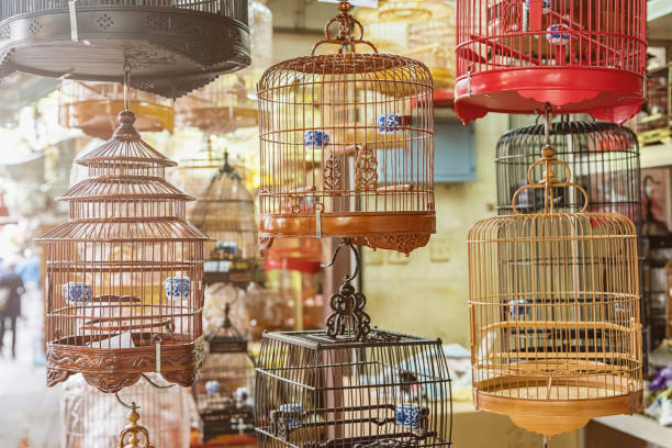 Bird Cages at Bird Garden Hong Kong Bird Market Typical Bird Cages at Hong Kong Bird Market, known as Yuen Po Bird Garden. Selective Focus.  Yuen Po Street Bird Garden, Mong Kok, Kowloon, Hong Kong, Asia. animals in captivity stock pictures, royalty-free photos & images