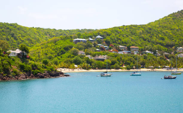 istock Antigua, English Harbour panoramic view with boats and yachts. View include Freeman bay and beach 690016254