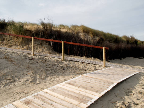 istock the beach of langeoog 690018808