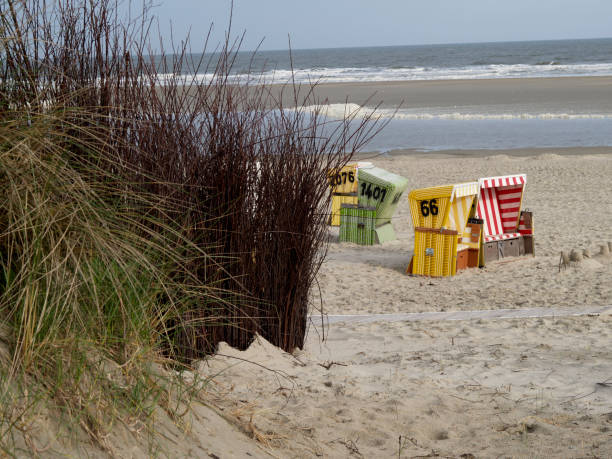 istock the beach of langeoog 690024998