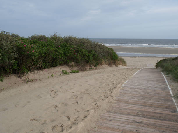 istock the beach of langeoog 690025192