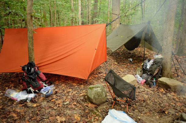istock Hammocks hanging in wooded campsite 690028470