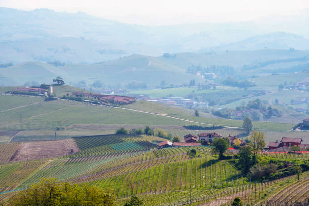 istock Landscape of Langhe 690029356