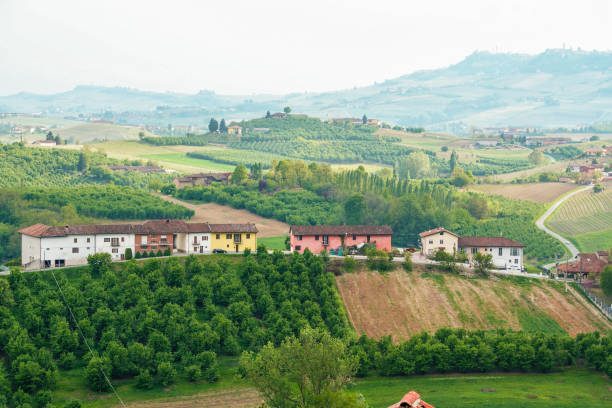 istock Landscape of Langhe 690029646