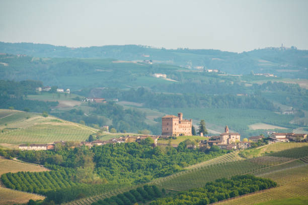 istock Landscape of Langhe 690029670