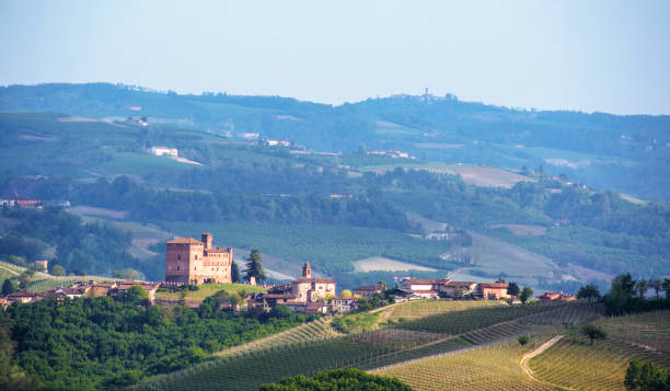 istock Landscape of Langhe 690029714