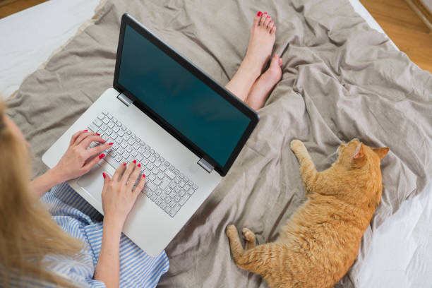 istock Woman with cat on bed 690040474