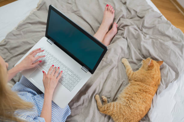istock Woman with cat on bed 690040624