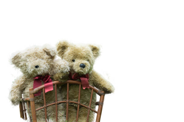 Two teddy bears in wicker basket, Isolated on white.