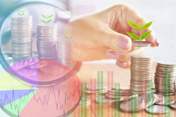 istock double exposure hand with tree growing on coins stack,business growth in magnifying glass 690050262