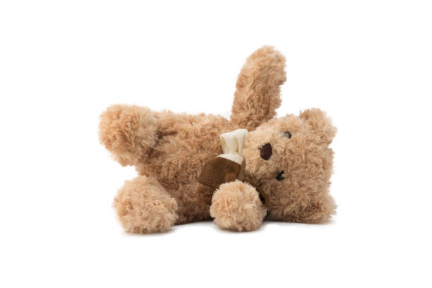 istock Brown teddy bear isolated on white background 690051308